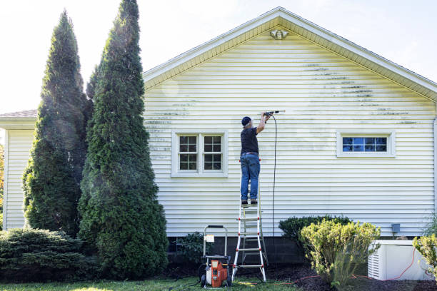 Best Historic Building Restoration  in Springmont, PA